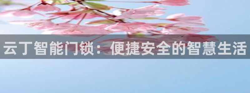 开丰娱乐平台地址查询：云丁智能门锁：便捷安全的智慧生活