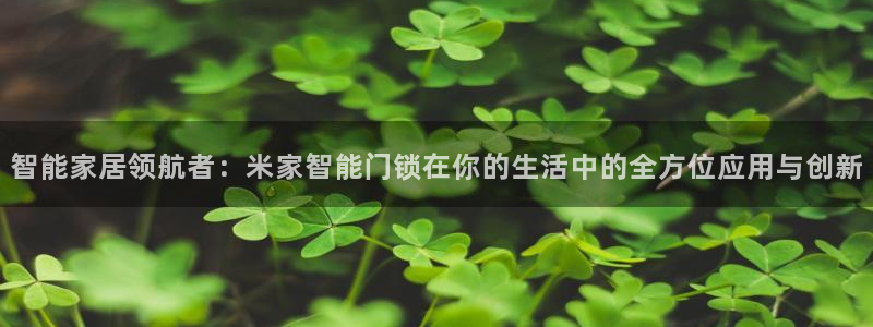 开丰娱乐下7O667：智能家居领航者：米家智能门锁在你的生活