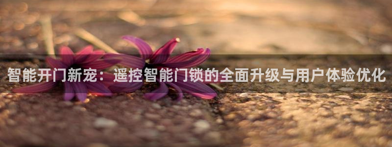 开丰娱乐注册电7O777：智能开门新宠：遥控智能门锁的全面升
