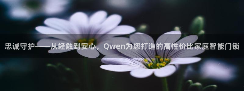 开丰娱乐平台地址在哪里：忠诚守护——从轻触到安心，Qwen为