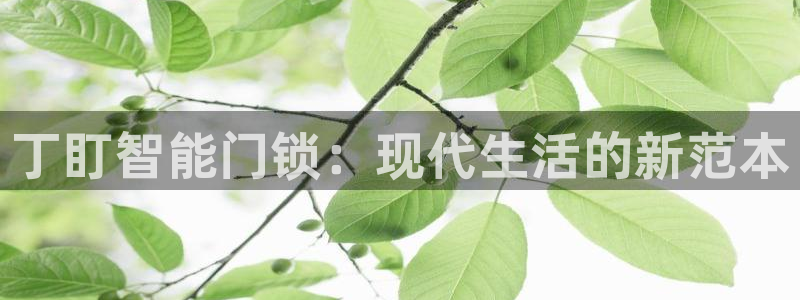 开丰娱乐主管：丁盯智能门锁：现代生活的新范本