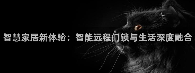 开丰娱乐平台注册：智慧家居新体验：智能远程门锁与生活深度融合