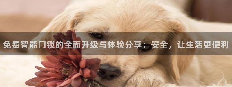 开丰娱乐平台地址：免费智能门锁的全面升级与体验分享：安全，让