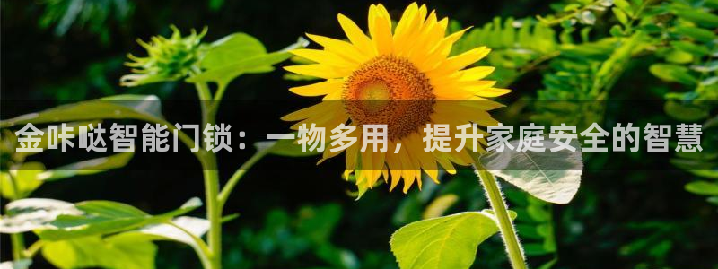 开丰娱乐主管家去判官333OO：金咔哒智能门锁：一物多用，提
