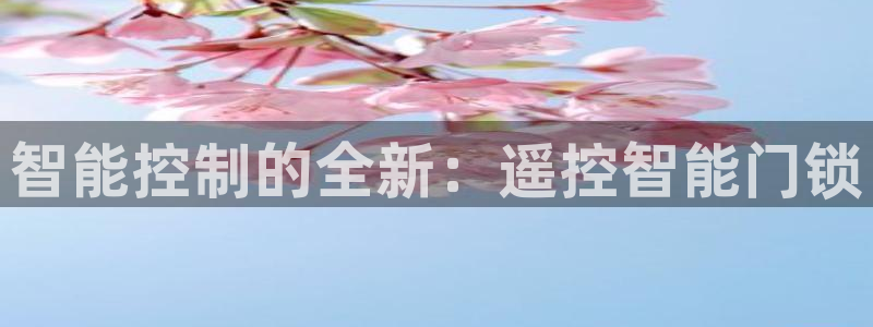 开丰娱乐千67五壹叁八：智能控制的全新：遥控智能门锁