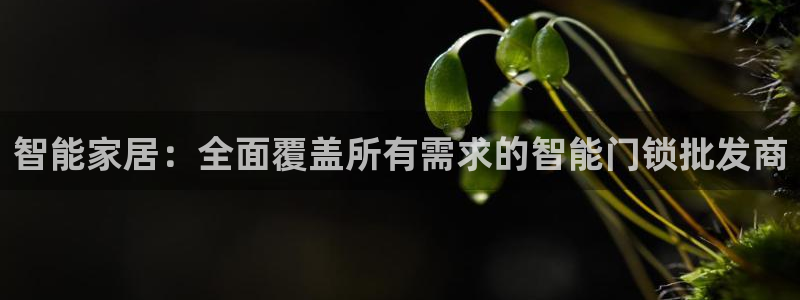 开丰娱乐2登录：智能家居：全面覆盖所有需求的智能门锁批发商
