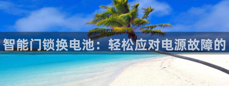 圩丰刚开的娱乐场所：智能门锁换电池：轻松应对电源故障的