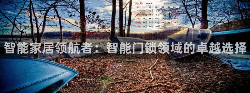 开丰娱乐平台地址在哪里：智能家居领航者：智能门锁领域的卓越选