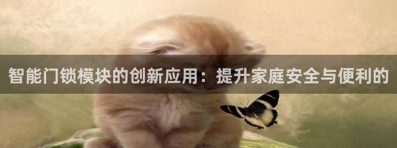 开丰娱乐登录地址入口：智能门锁模块的创新应用：提升家庭安全与