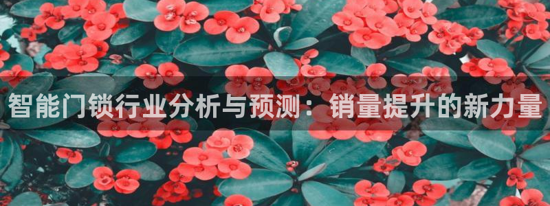 开丰娱乐 赢咖一：智能门锁行业分析与预测：销量提升的新力量