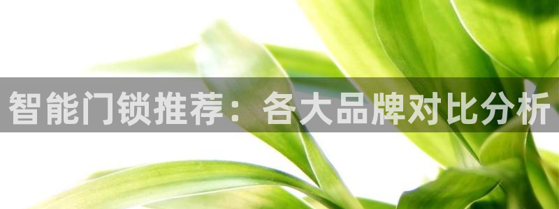 开丰娱乐登入地址在哪儿：智能门锁推荐：各大品牌对比分析