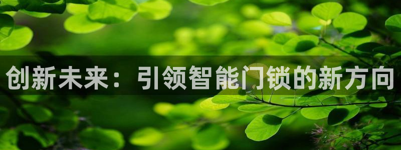开丰娱乐新登录平台：创新未来：引领智能门锁的新方向
