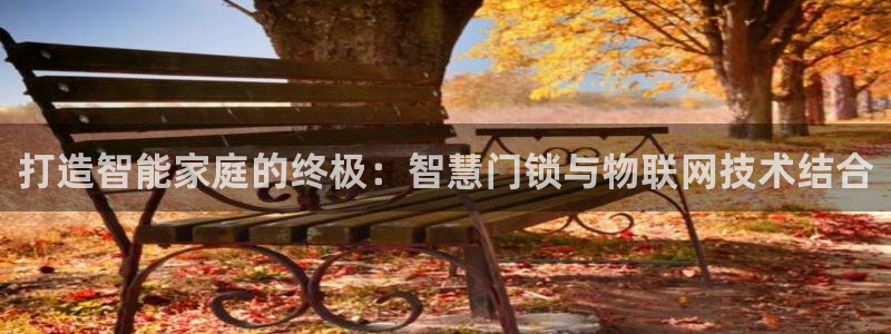 开丰娱乐上：打造智能家庭的终极：智慧门锁与物联网技术结合