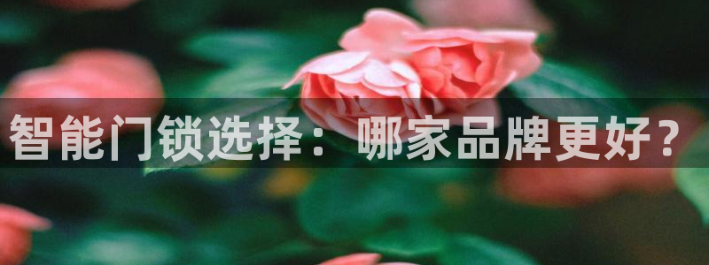 开丰娱乐登陆地址：智能门锁选择：哪家品牌更好？