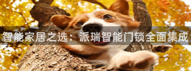 开丰娱乐寸六七五一38：智能家居之选：派瑞智能门锁全面集成