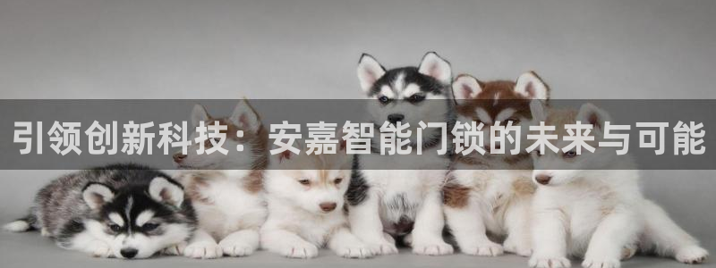 开丰娱乐巾67五壹叁八：引领创新科技：安嘉智能门锁的未来与可