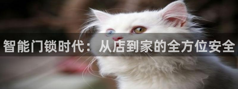开丰娱乐官网电话：智能门锁时代：从店到家的全方位安全
