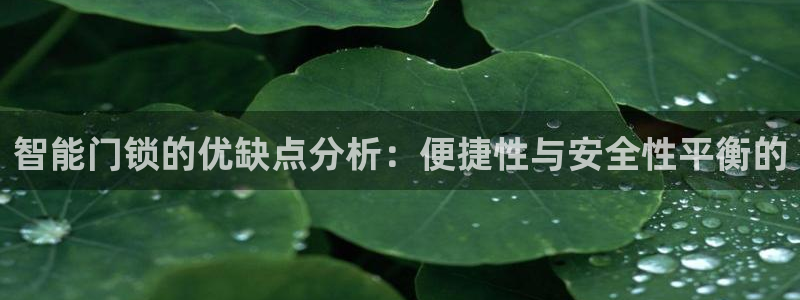 开丰娱乐平台地址电话：智能门锁的优缺点分析：便捷性与安全性平