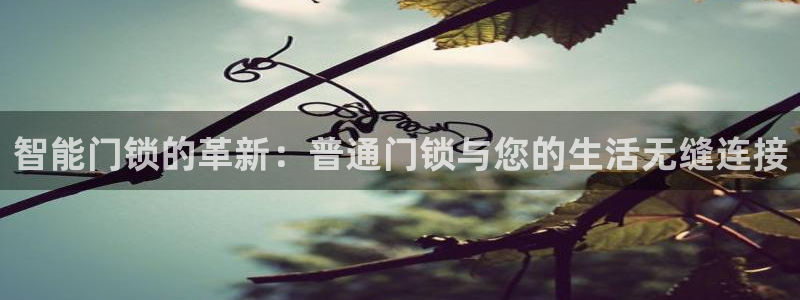 开丰娱乐月7O667：智能门锁的革新：普通门锁与您的生活无缝