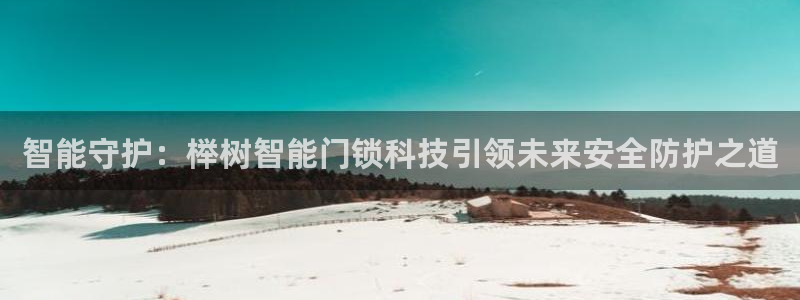 开丰娱乐官网平台登录：智能守护：榉树智能门锁科技引领未来安全