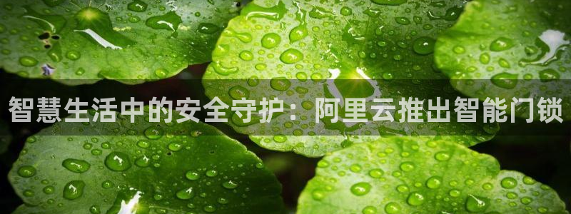 开丰娱乐67 5138：智慧生活中的安全守护：阿里云推出智能