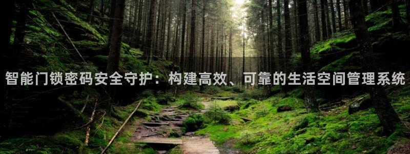 开丰娱乐官网首页：智能门锁密码安全守护：构建高效、可靠的生活