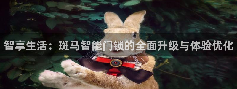 开丰娱乐手机app：智享生活：斑马智能门锁的全面升级与体验优