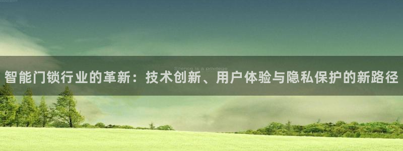开丰娱乐平台登录：智能门锁行业的革新：技术创新、用户体验与隐