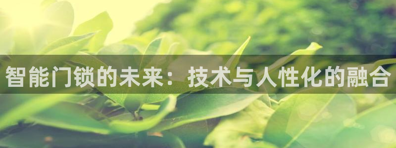 开丰娱乐平台地址查询：智能门锁的未来：技术与人性化的融合