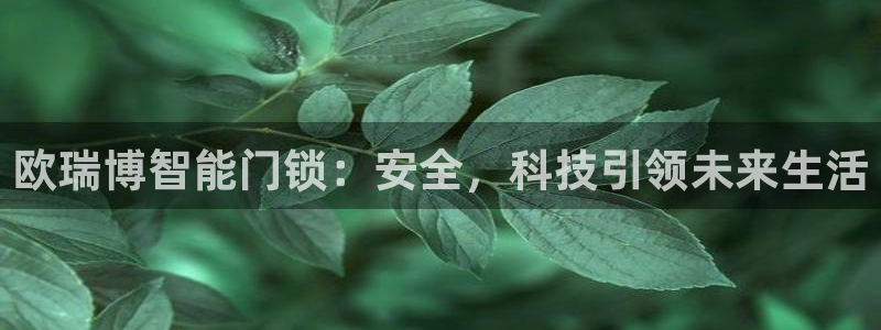 开丰娱乐平台注册：欧瑞博智能门锁：安全，科技引领未来生活
