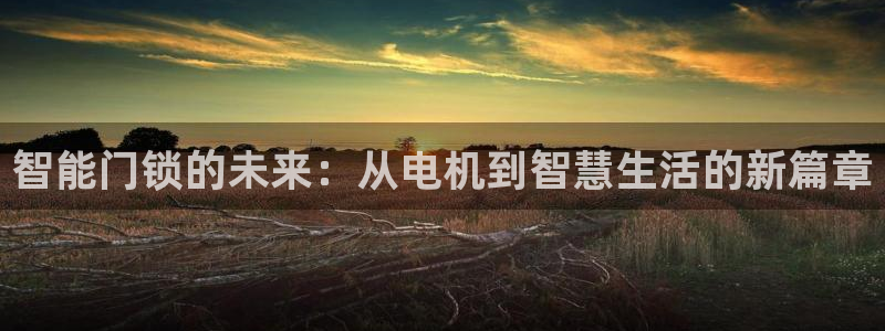 开丰娱乐天：智能门锁的未来：从电机到智慧生活的新篇章