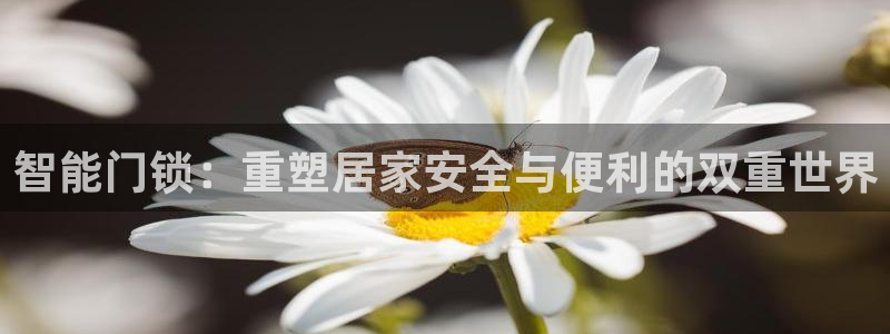 开丰娱乐官网登录网址：智能门锁：重塑居家安全与便利的双重世界