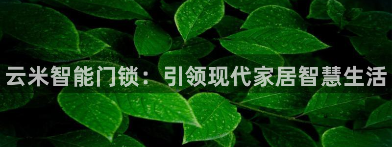 开丰娱乐趣 7O935：云米智能门锁：引领现代家居智慧生活