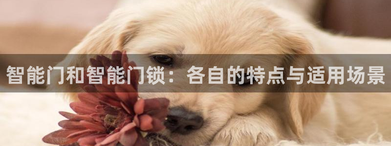 开丰娱乐平台登录网址：智能门和智能门锁：各自的特点与适用场景