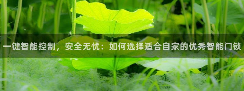 开丰娱乐平台官网网址：一键智能控制，安全无忧：如何选择适合自
