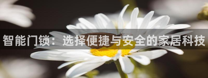 开丰娱乐登入地址在哪查：智能门锁：选择便捷与安全的家居科技