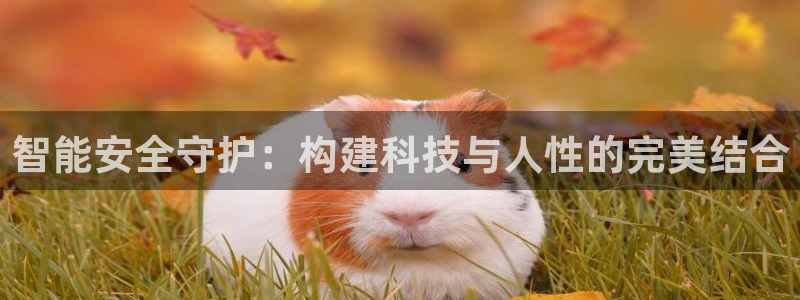 开丰娱乐咋7O777：智能安全守护：构建科技与人性的完美结合