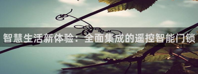 开丰娱乐登入地址是什么：智慧生活新体验：全面集成的遥控智能门
