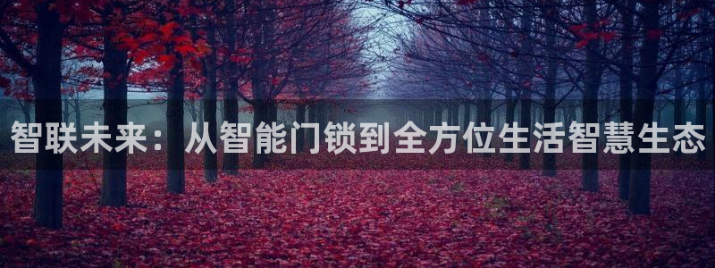 开丰娱乐登入地址在哪儿：智联未来：从智能门锁到全方位生活智慧