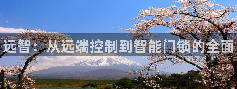 开丰娱乐67 5138：远智：从远端控制到智能门锁的全面