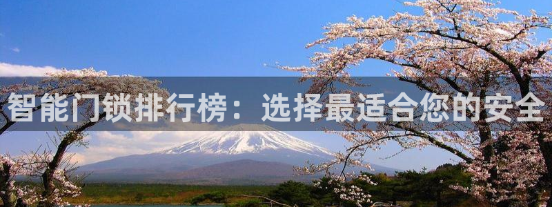 开丰娱乐联系q徽22212：智能门锁排行榜：选择最适合您的安