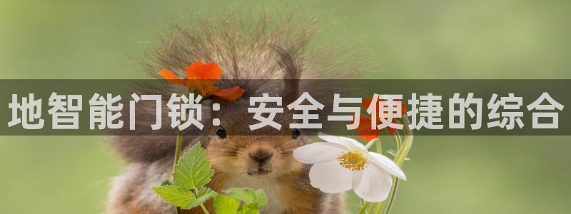 开丰娱乐前：地智能门锁：安全与便捷的综合