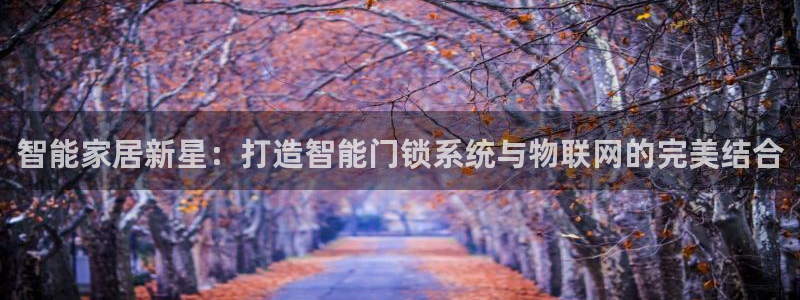 开丰娱乐地址：智能家居新星：打造智能门锁系统与物联网的完美结