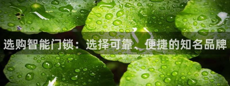 开丰娱乐月7O667：选购智能门锁：选择可靠、便捷的知名品牌