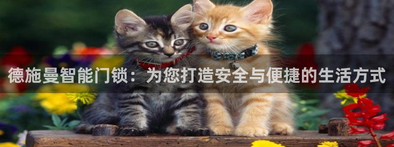 开丰娱乐姜333OO：德施曼智能门锁：为您打造安全与便捷的生