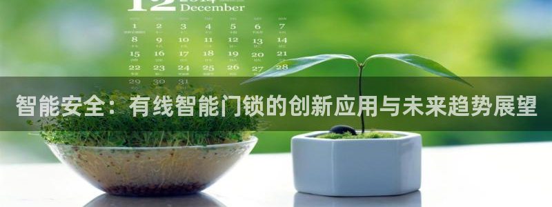 开丰娱乐平台注册地址：智能安全：有线智能门锁的创新应用与未来