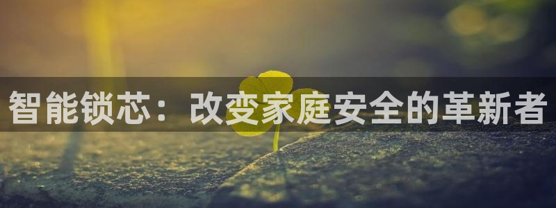 开丰娱乐网站官网首页：智能锁芯：改变家庭安全的革新者