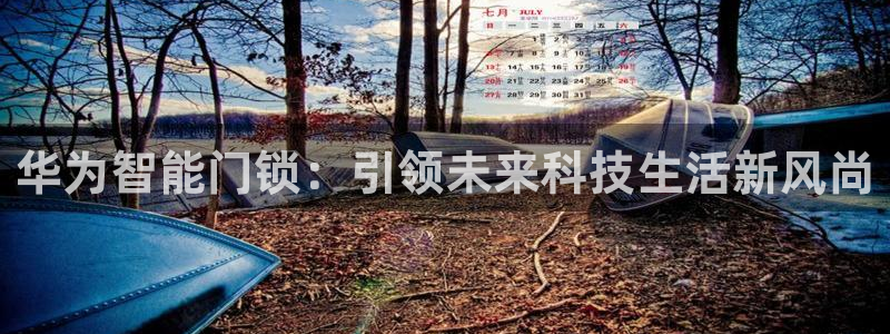 开丰娱乐登入地址：华为智能门锁：引领未来科技生活新风尚