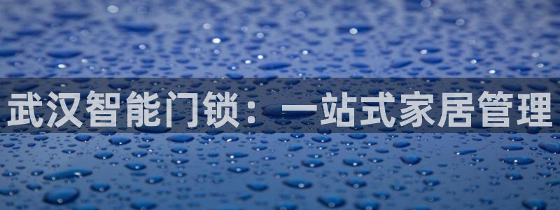 下载开丰娱乐：武汉智能门锁：一站式家居管理