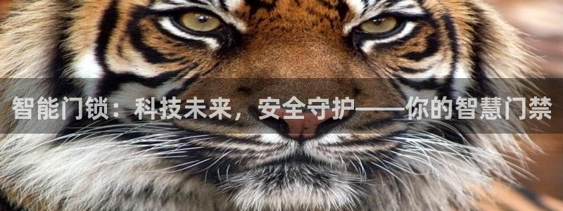 开丰娱乐登录平台下载：智能门锁：科技未来，安全守护——你的智